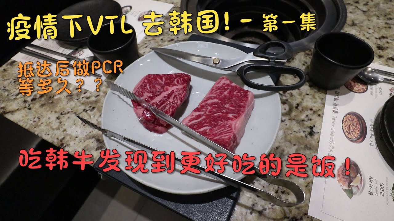 【VTL韩国】两年多没旅游韩国变怎样了？韩国吃韩牛骑脚车【1/7】