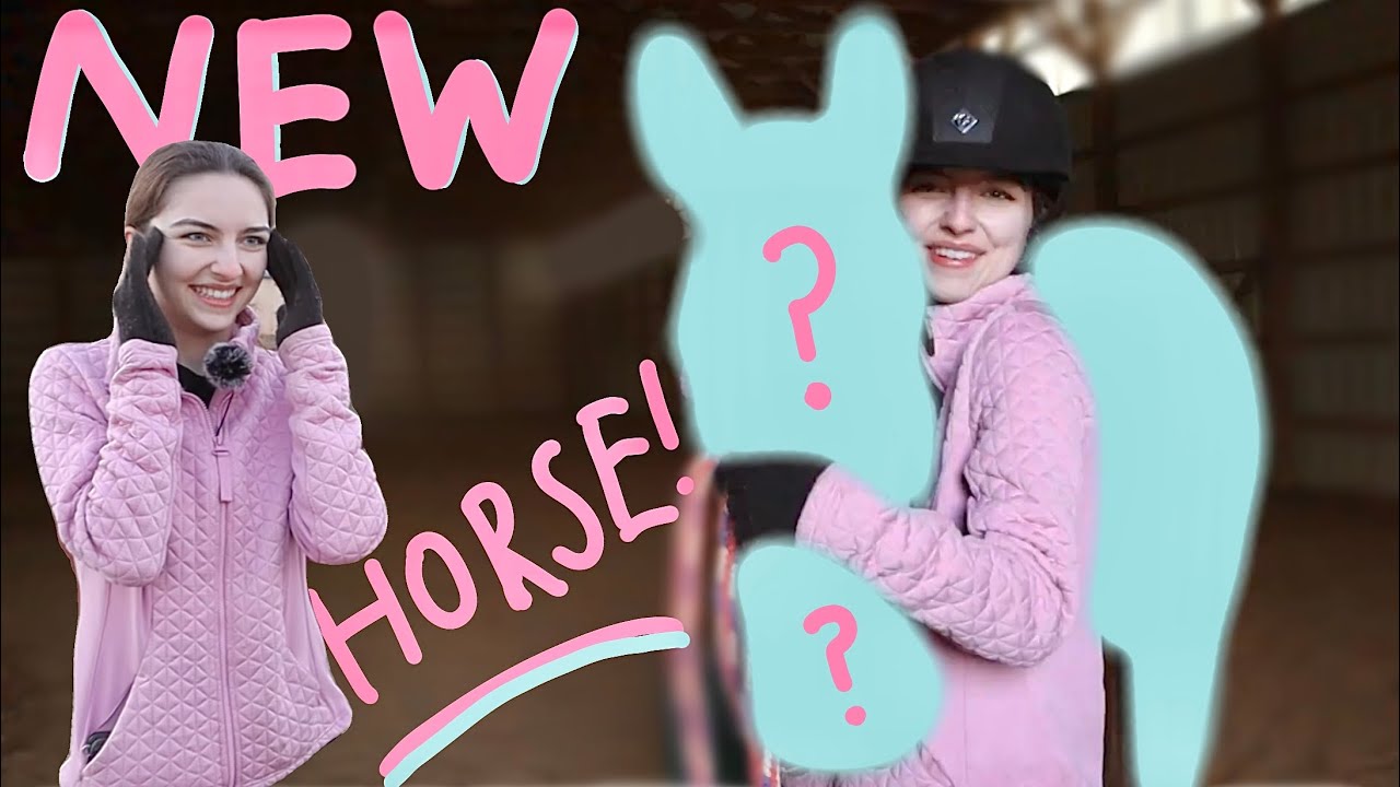 I GOT A HORSE!! Vlog!