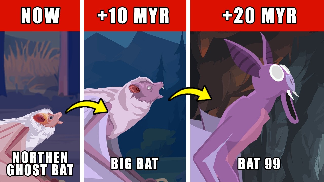 The Bat 99 Origin Evolution: How The Bat 99 Could Have Evolved