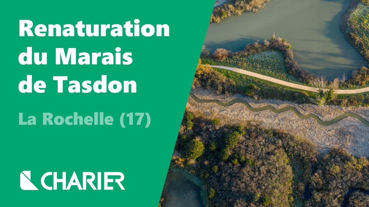 La Rochelle : renaturation du Marais de Tasdon