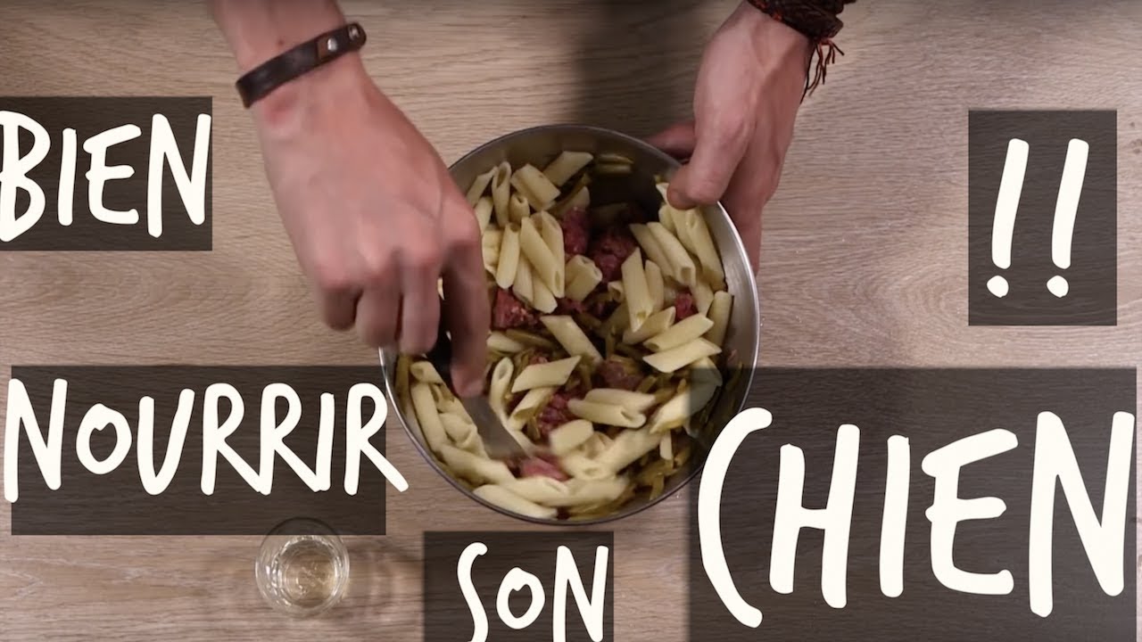 BIEN NOURRIR TON CHIEN - TOOPET