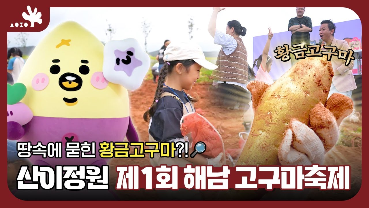 가을 감성 가득! 해남 산이정원 고구마 정원 축제, 달콤한 추억 만들기 현장🍠