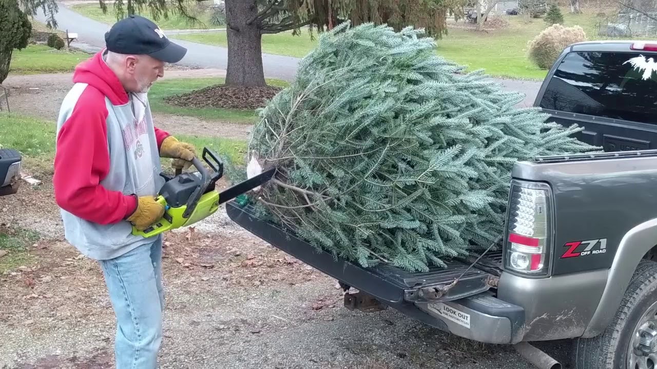 What Happened to Our Christmas Tree???