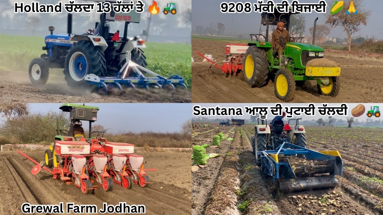 🌽 9208 ਮੱਕੀ ਦੀ ਬਿਜਾਈ Full Process 🙏 | Holland test 13 ਹੱਲਾਂ ਤੇ 🔥🚜 | Santana ਆਲੂ ਦੀ ਪੁਟਾਈ 🥔