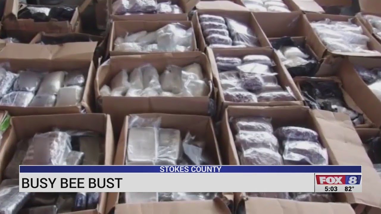 'Operation Busy Bee' nets 46 arrests connected to Stokes County drug delivery system