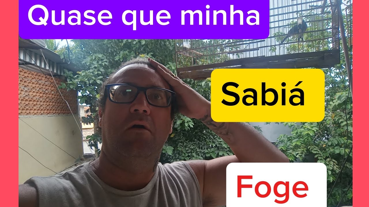 Quase perdi minha sabiá!!!!!! Inscreva-se!!!!!!