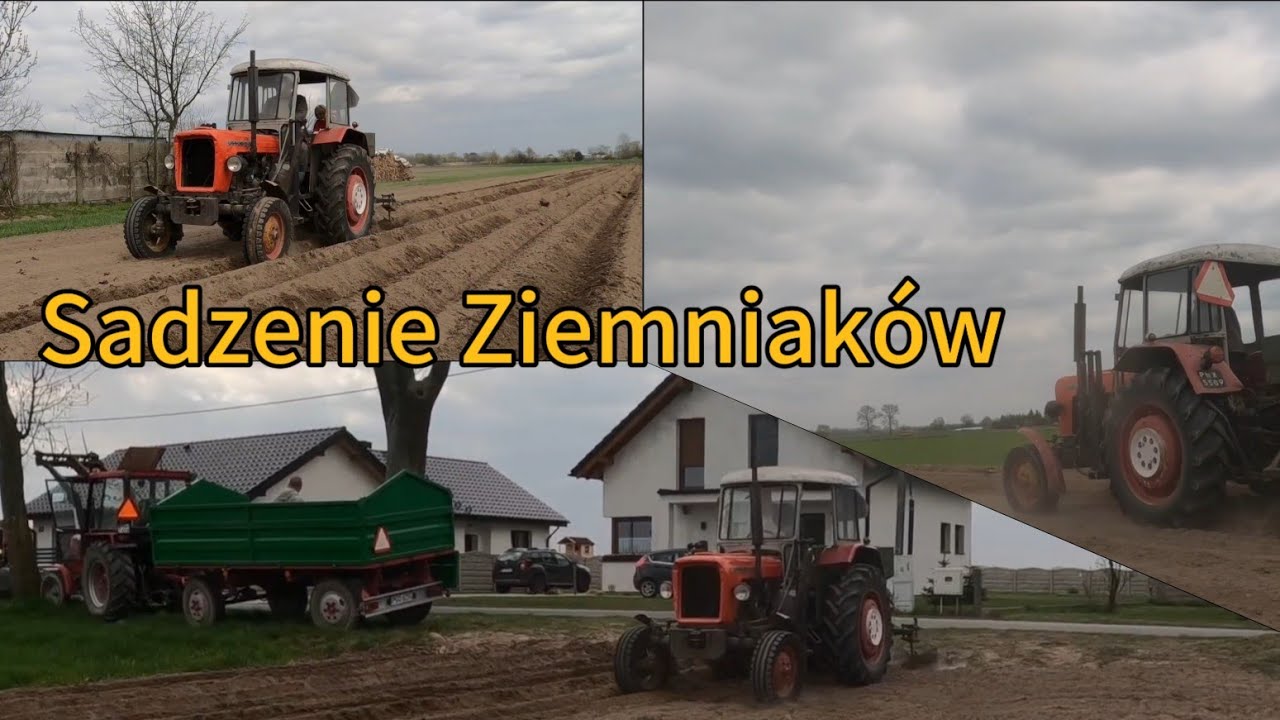 Sadzenie Ziemniaków 2025 - Dwa Ursusy Na Polu | Zabrakło Ziemniaków Na Środku Pola!?  - 30-tka POWER