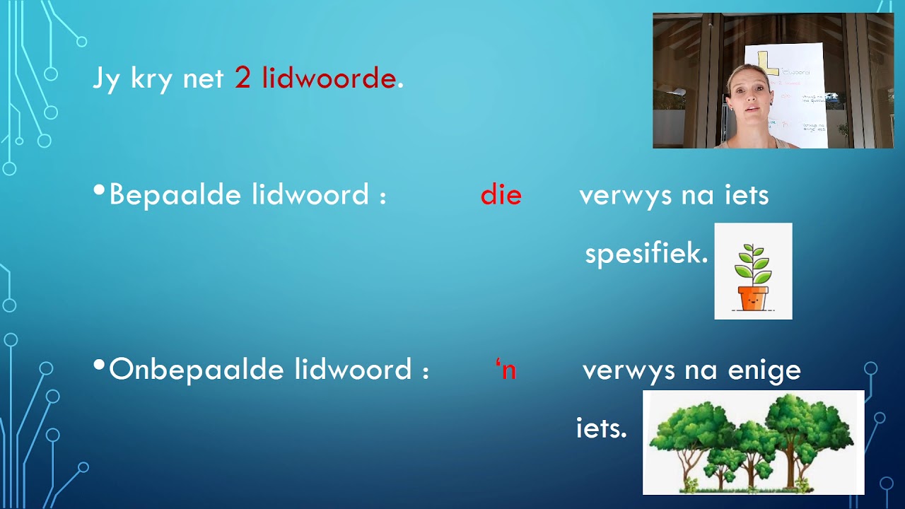 Gr 4 lidwoord 11 Mei