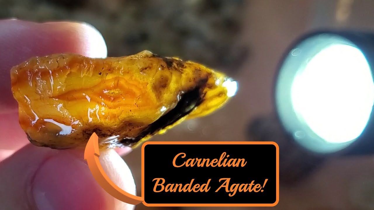 SO MANY Agates At The Creek! | Washington Creek Rockhounding