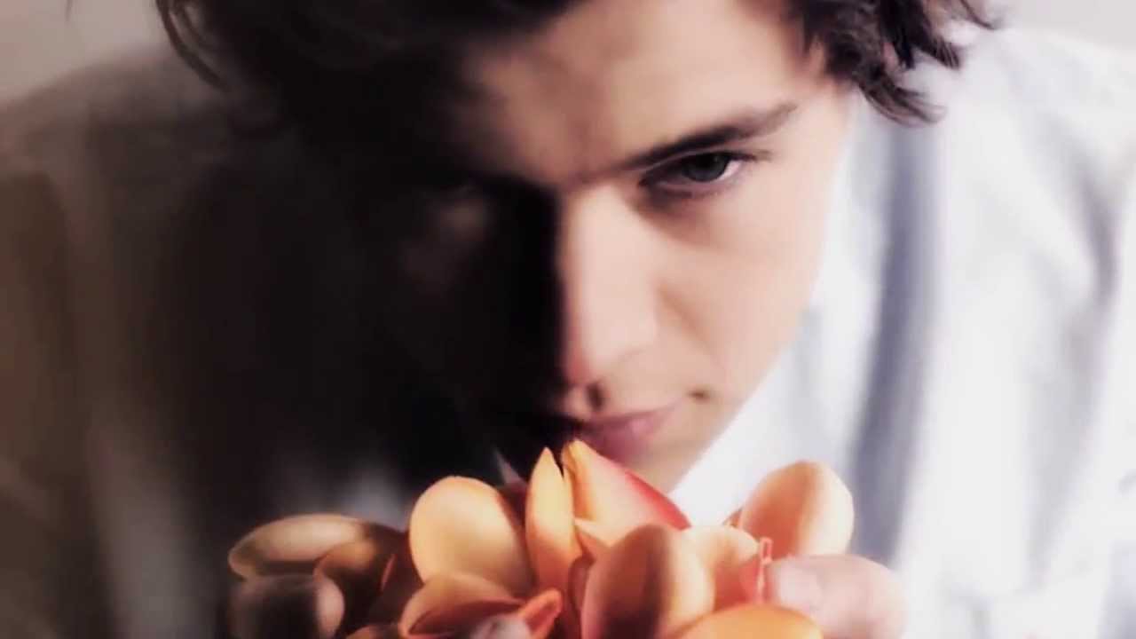 Harry Styles◄ Under My Skin