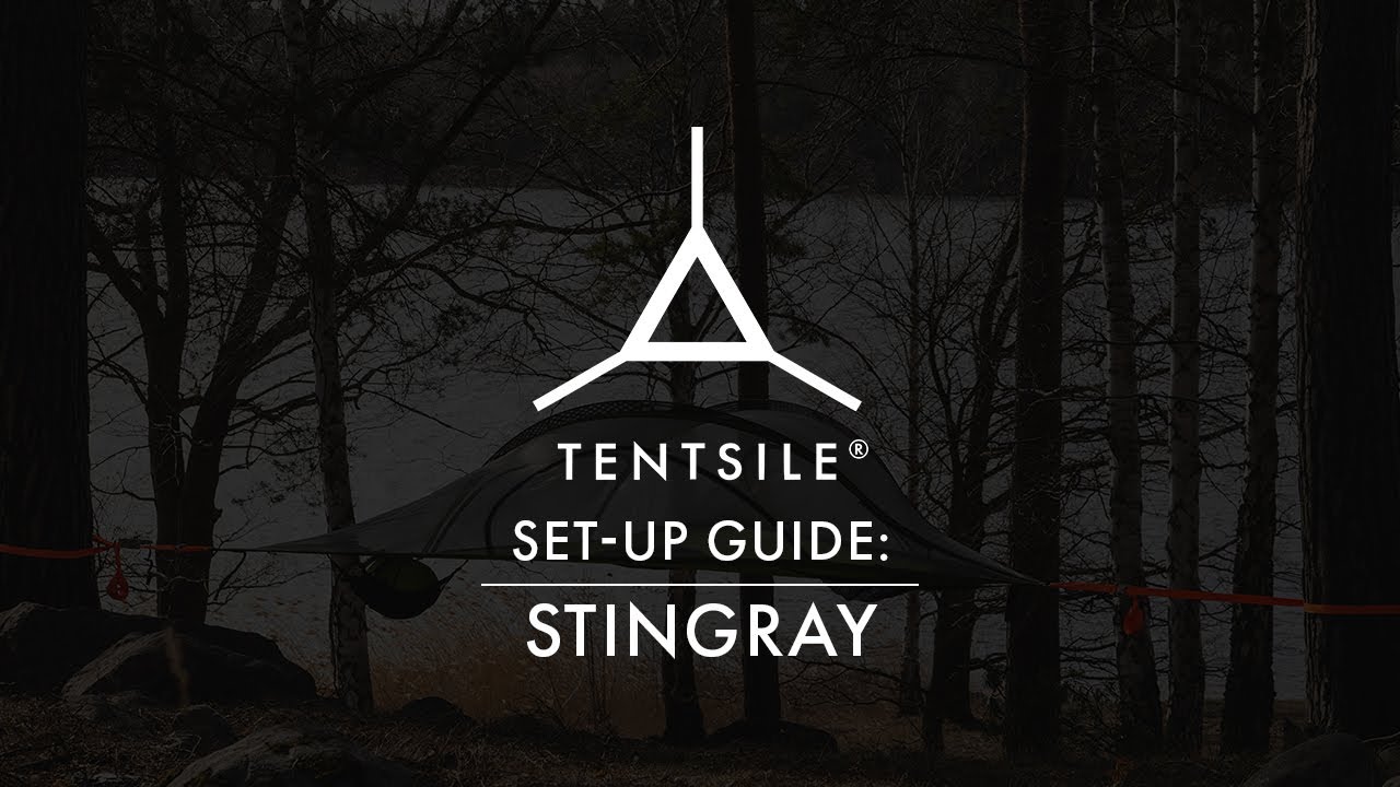 Трехместная палатка на дереве Tentsile Stingray: руководство по установке