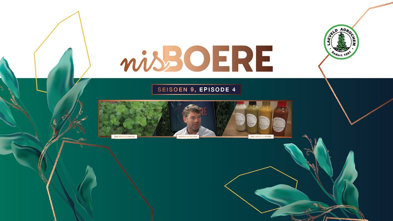 Nisboere 9 | Episode 04