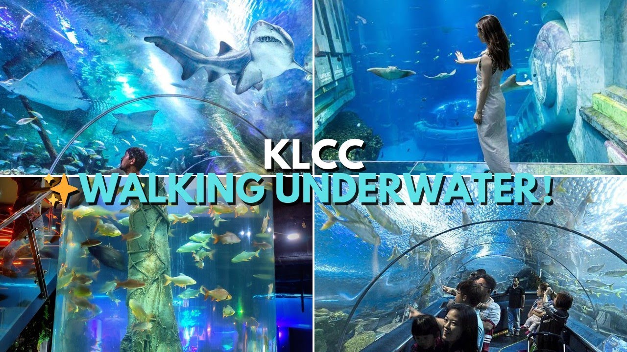 Аквариум KLCC 🐠 / Ведущий аквариум Азии в Куала-Лумпуре | Семья Нгокмо 0203
