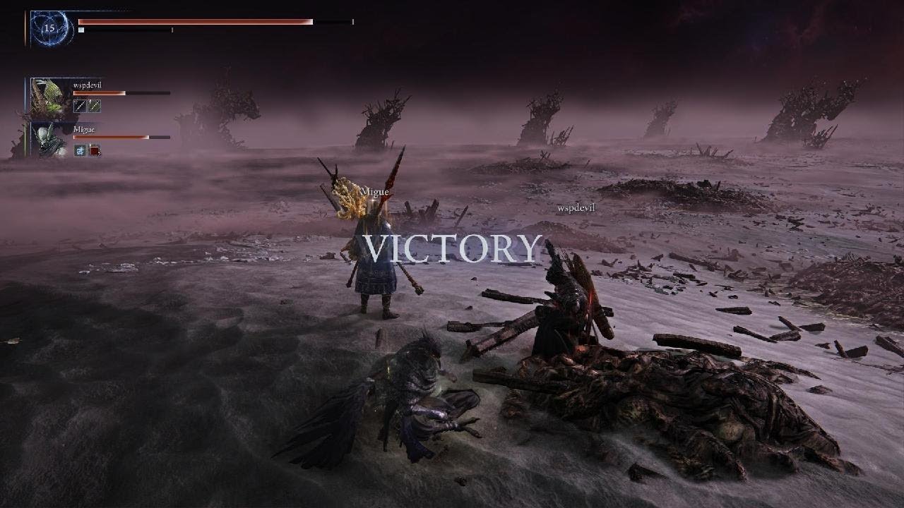 ELDEN RING NIGHTREIGN Deep of Night Guardian w/ randoms VS Straghess