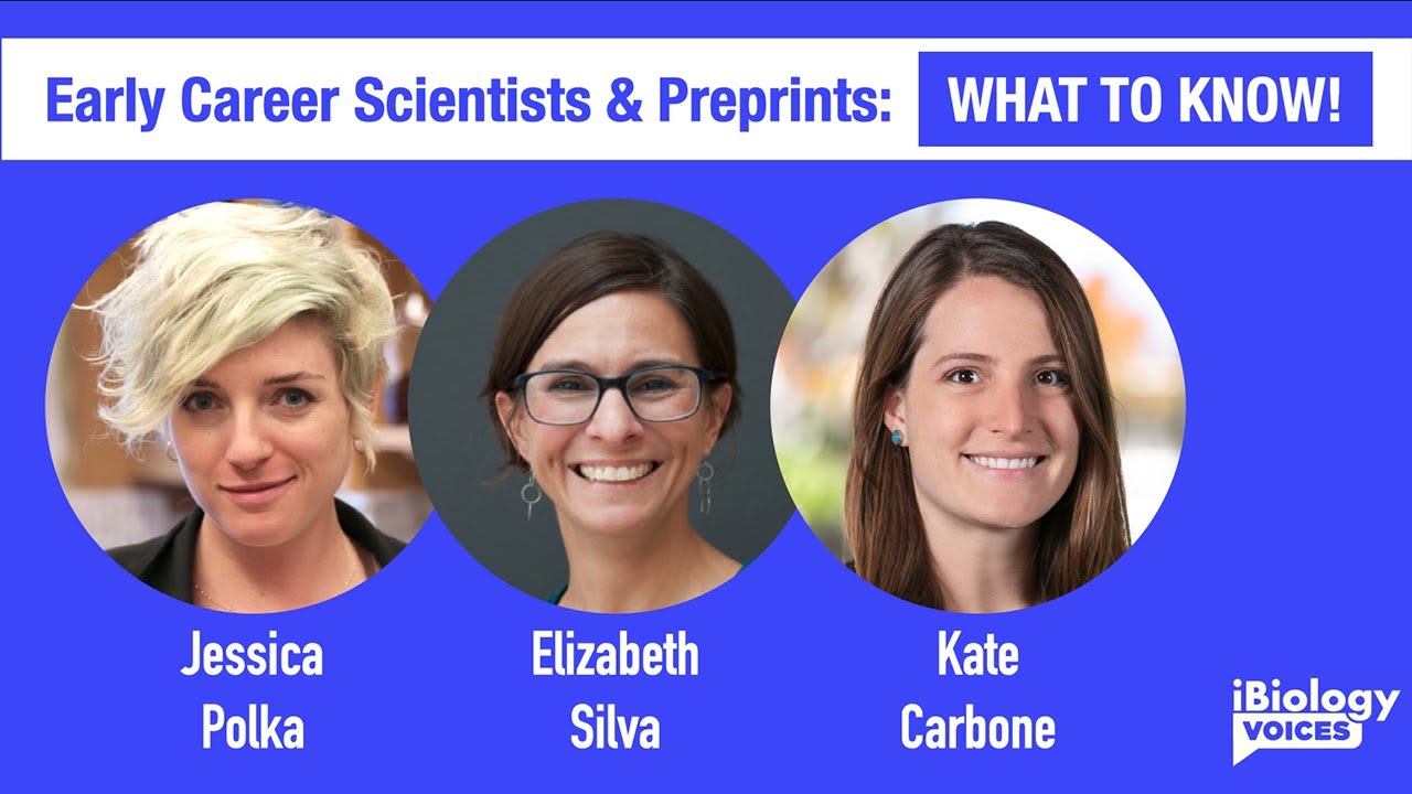 Early Career Scientists and Preprints Q&A