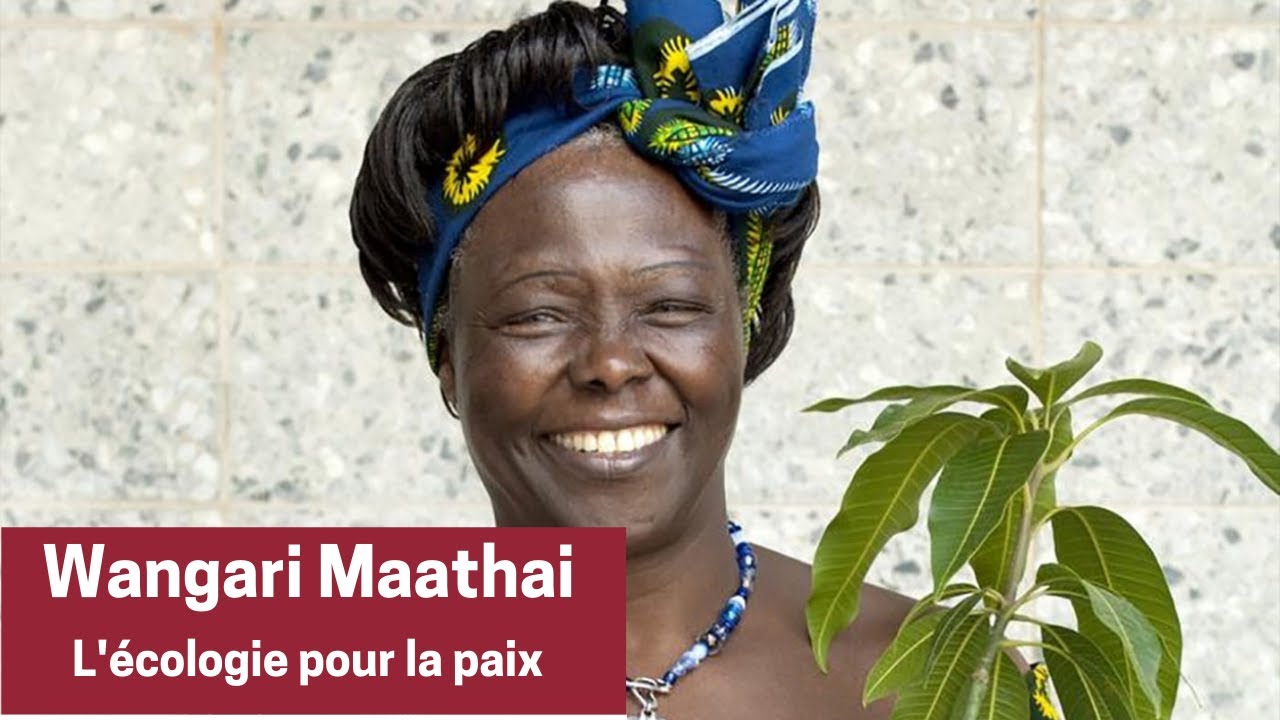 Wangari Muta Maathai : 1ère femme Africaine Prix Nobel de la Paix