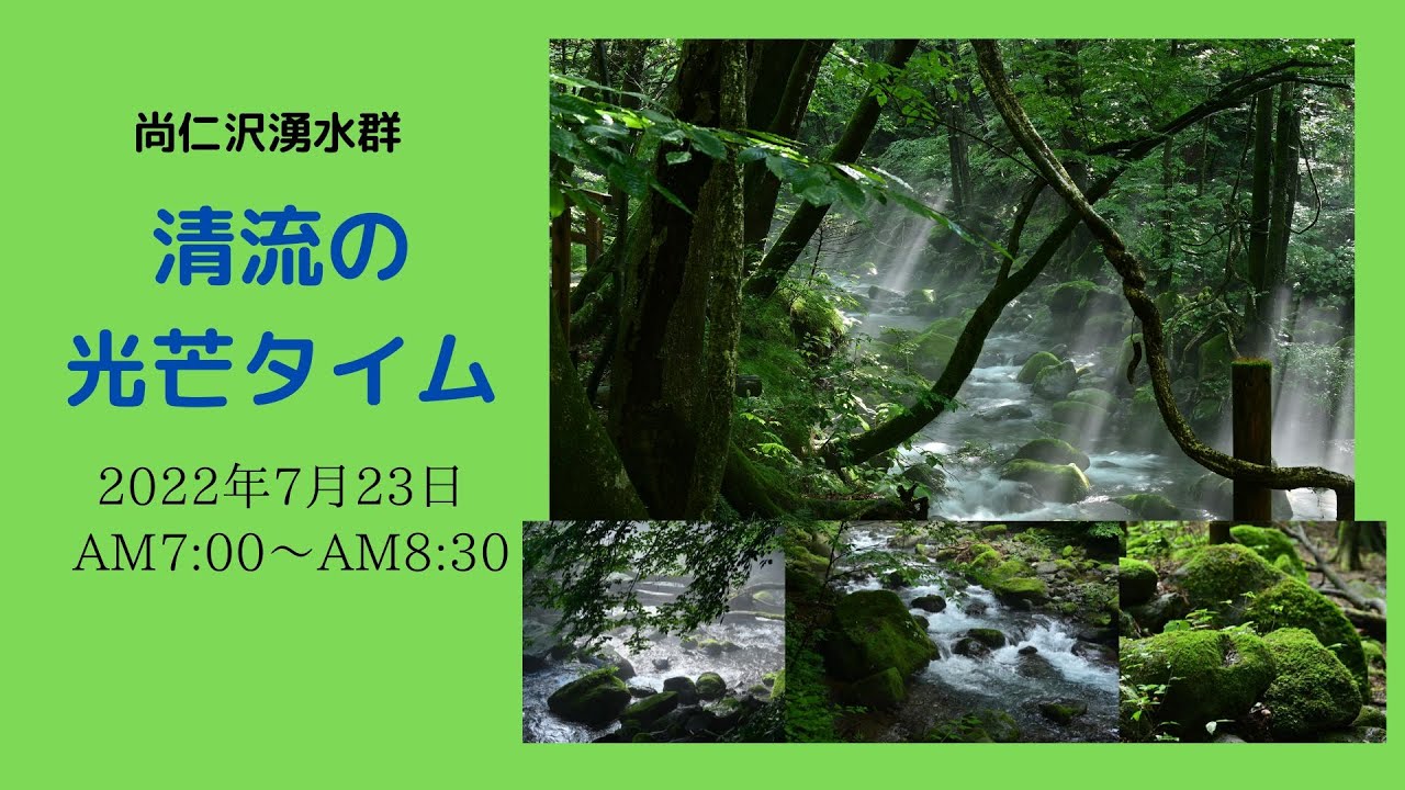 尚仁沢清流の光芒