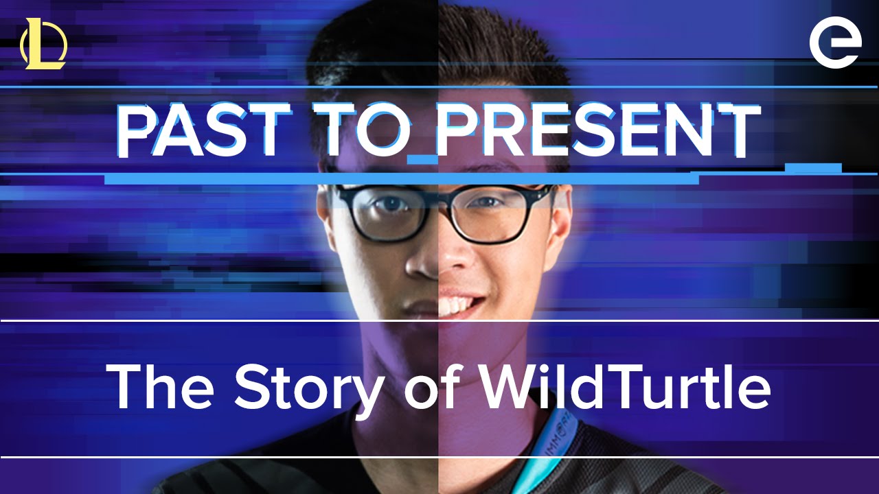 Past to Present: The Story of WildTurtle