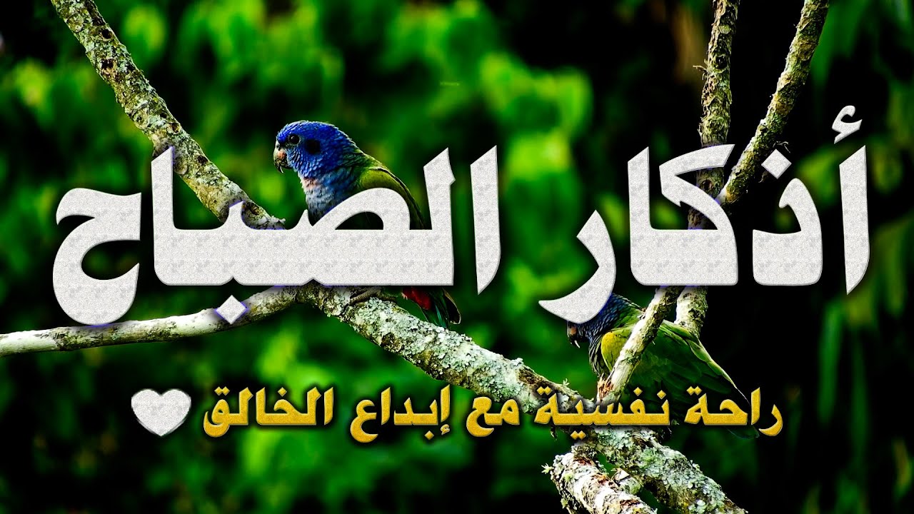 أذكار الصباح ..راحة نفسية مع إبداع الله في خلقه💚..القارئ حسام المعصبي