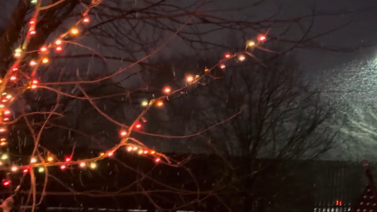 ISAIA 55:8-13  Snow tla , Decoration, Black fribay.