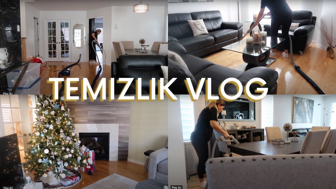 Evimizin Yeni Üyesi | Bol Temizlik Icerir | Kanada Günlügü