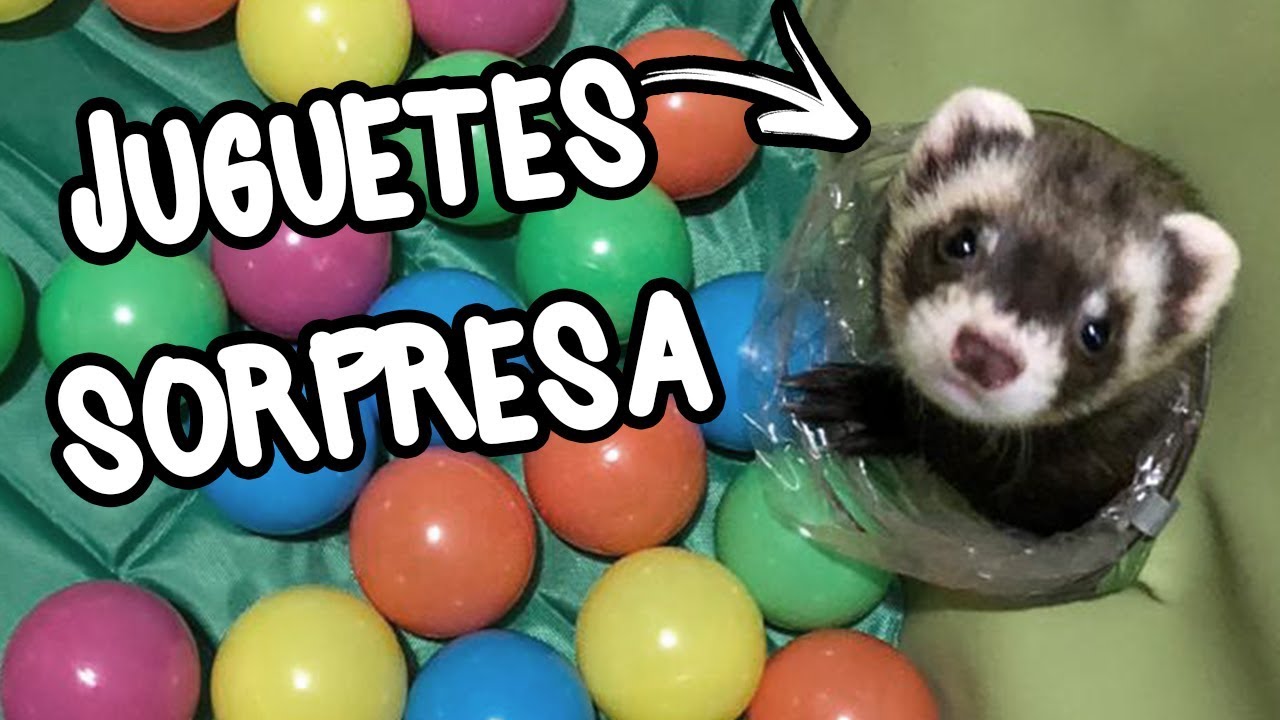 ¡LE DAMOS UNA SORPRESA A NUESTRA BEBÉ HUMITA CON JUGUETES NUEVOS!