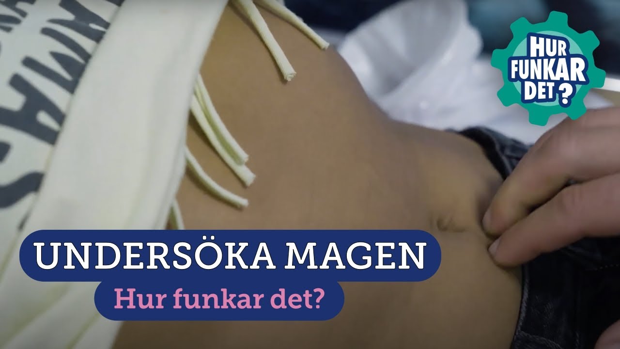 Undersöka magen
