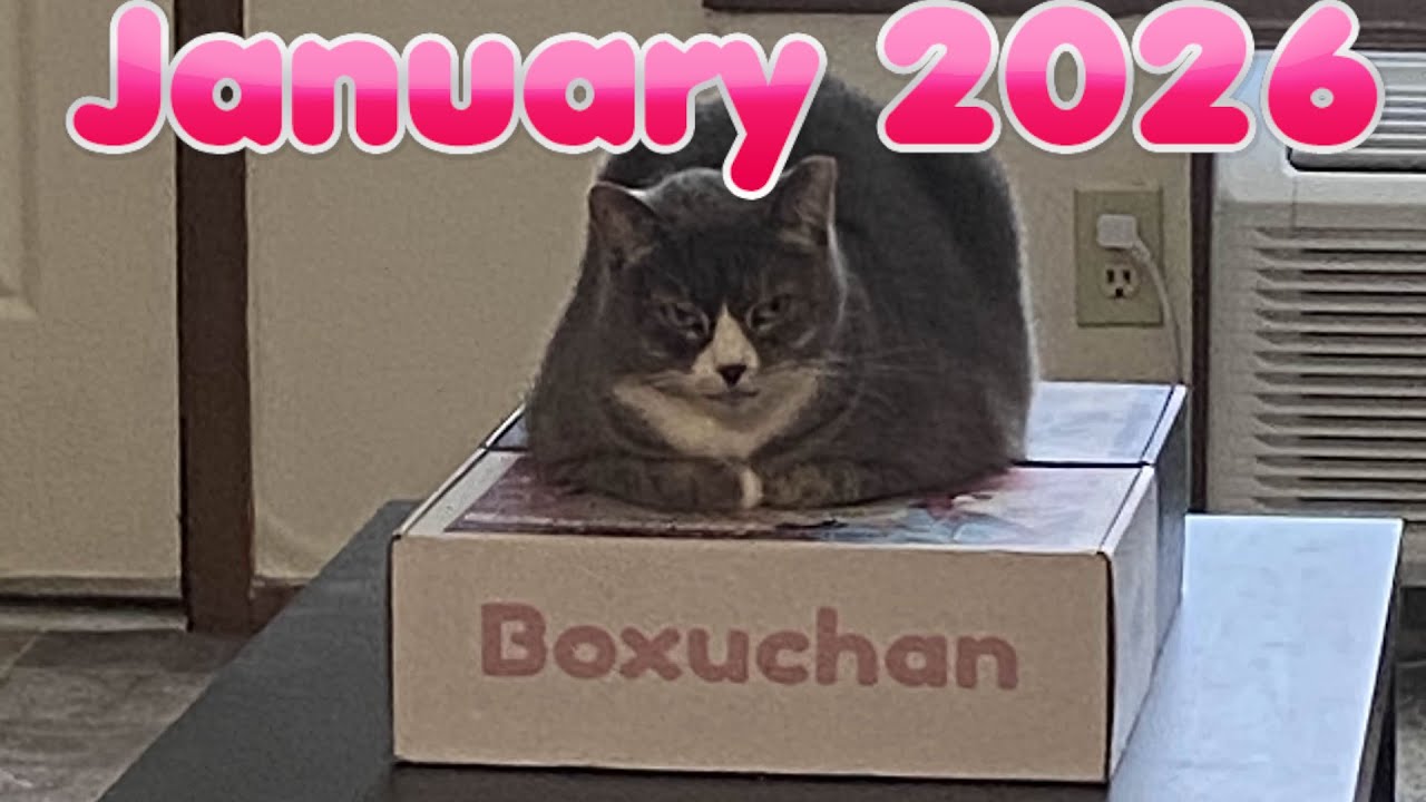 Boxuchan January 2026 Unboxing!