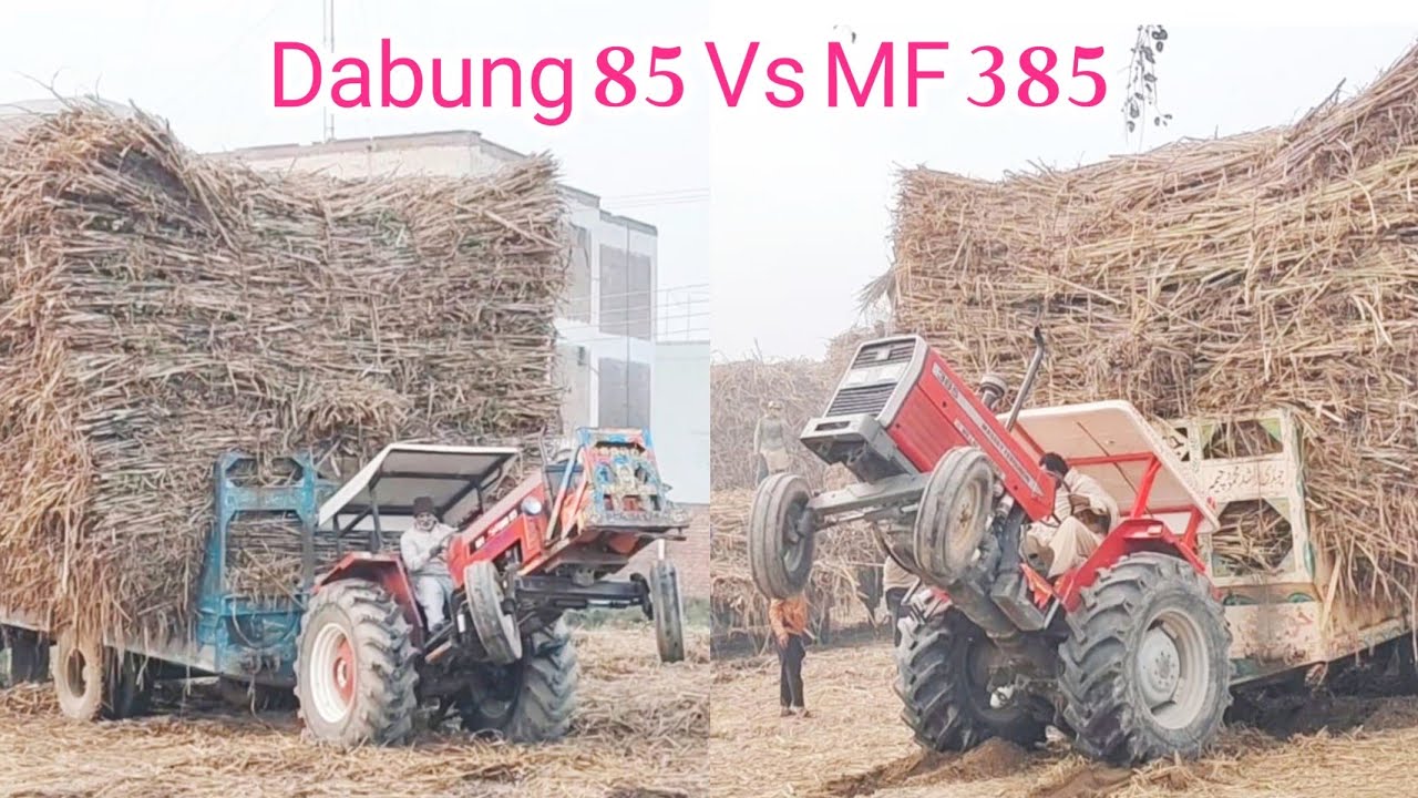 Dabung 85 Tractor Vs MF 385 Tractor competition Sugarcane loaded Trolley Good Performance 🔥🔥🔥