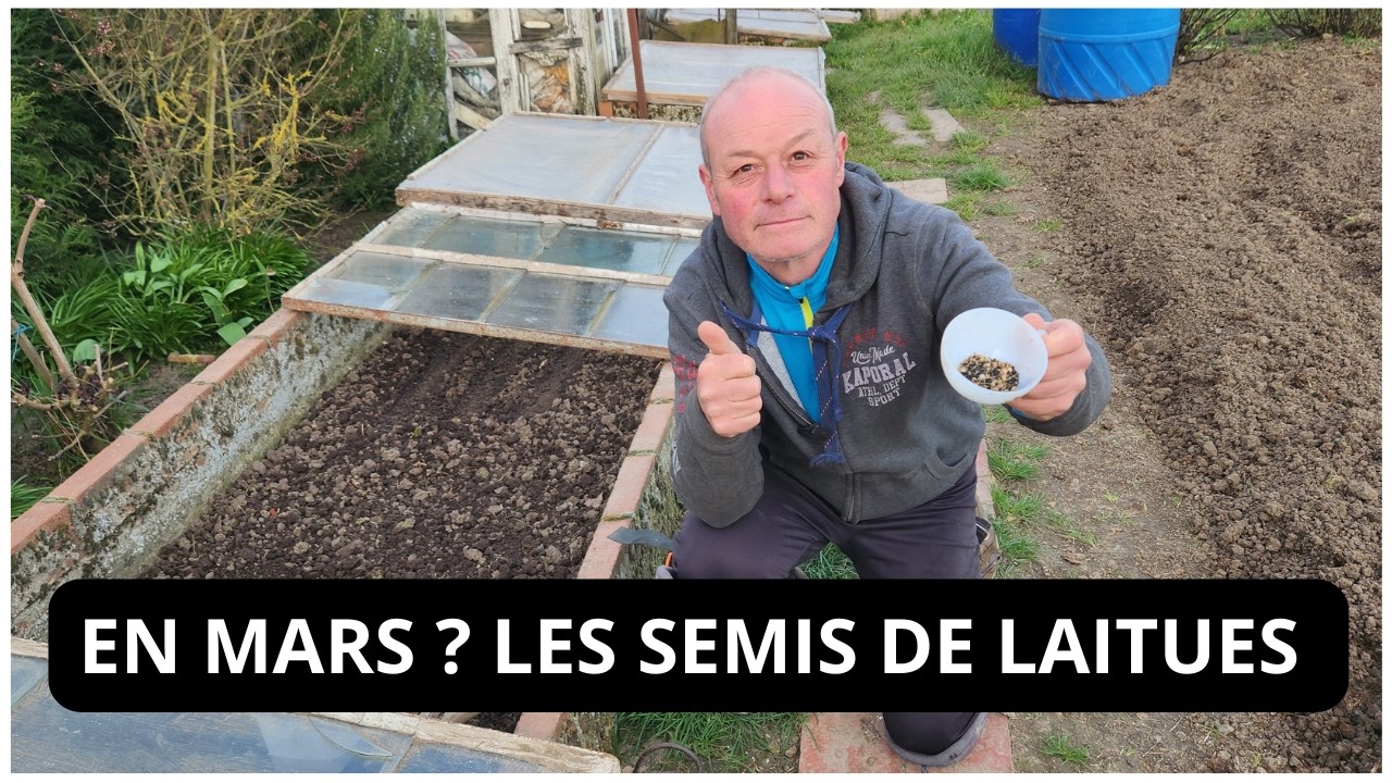 COMMENT SEMER  VOS LAITUES  DE  PRINTEMPS SOUS COUCHE