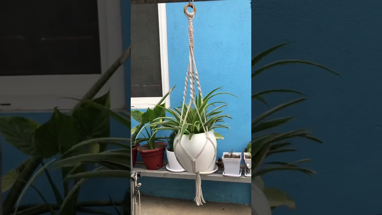 How to Make a Macrame Plant Hanger #macrame