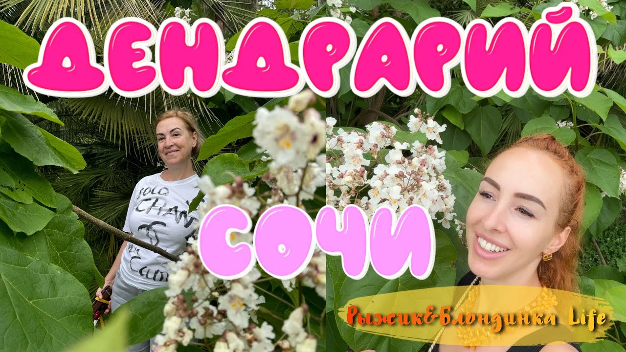 Сочинский ДЕНДРАРИЙ 🙌 или наши ВЕСЕЛЫЕ ПРИКЛЮЧЕНИЯ со входом в парк 😂🤩