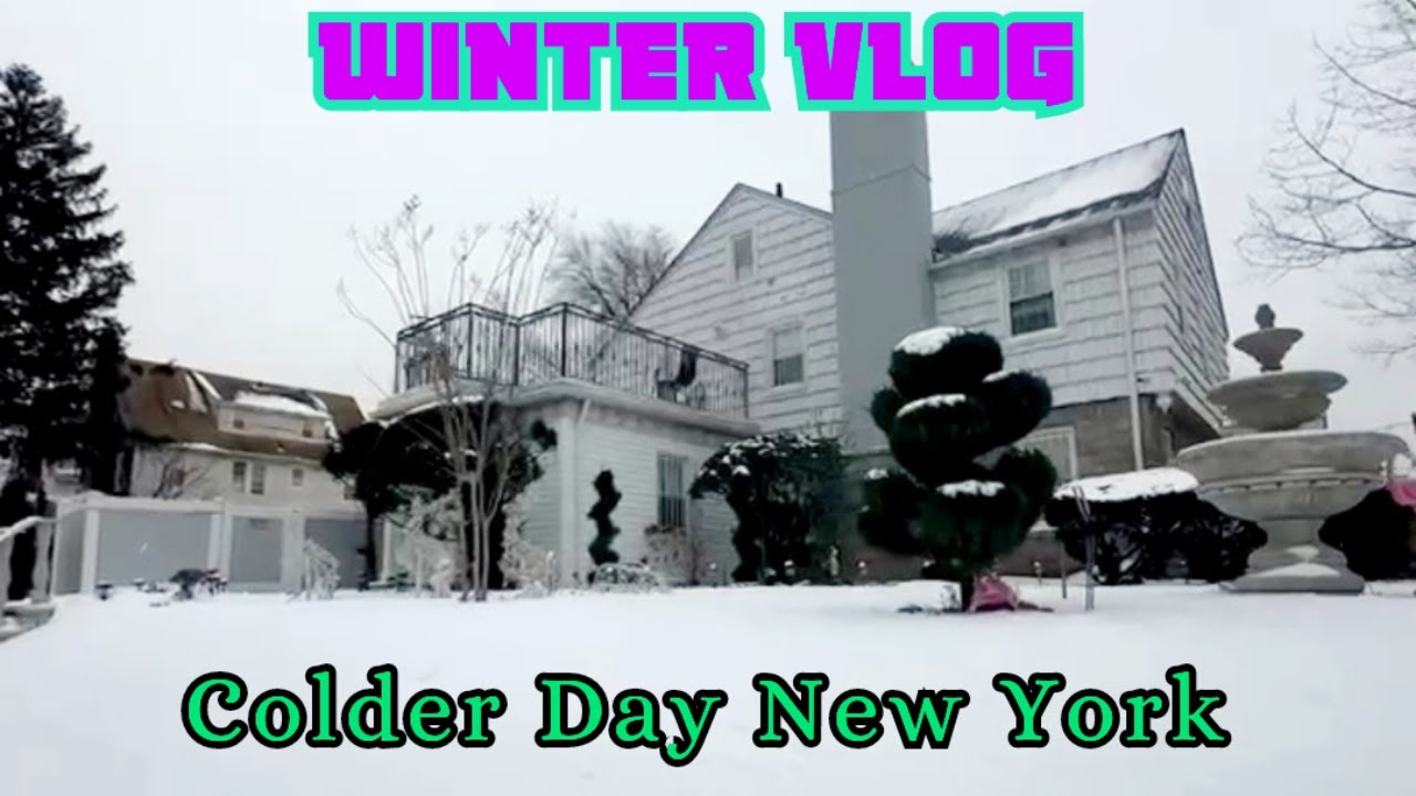 Winter Vlog || Natural Beauty || Beautiful Morning New Yark || Colder Day New York || H Zaidi Vlogs