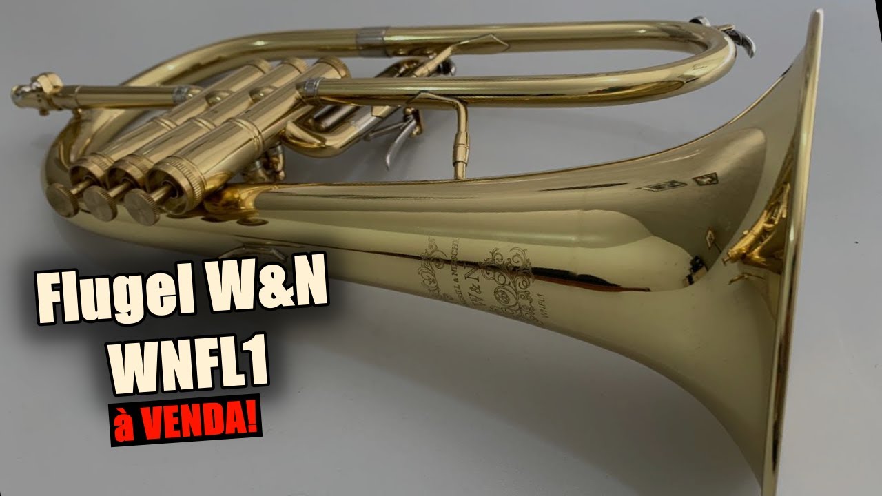 Flugel Weril W&N WNFL1 &agrave; venda | Padovani Music