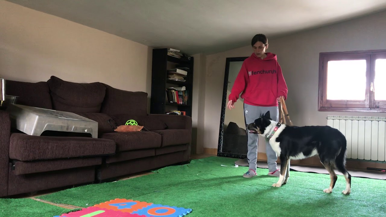Control vs autoncontrol