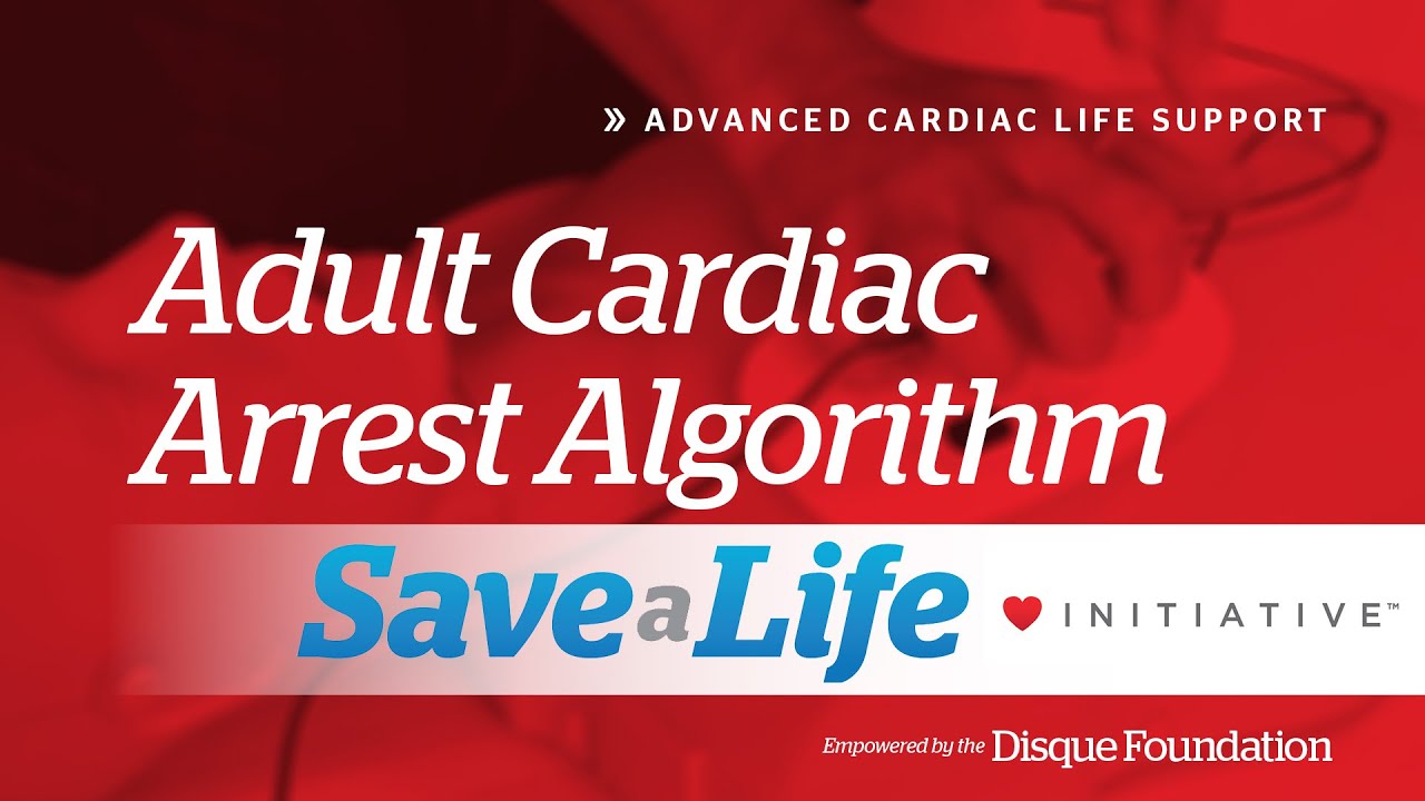 7d: Adult Cardiac Arrest Algorithm (2026)