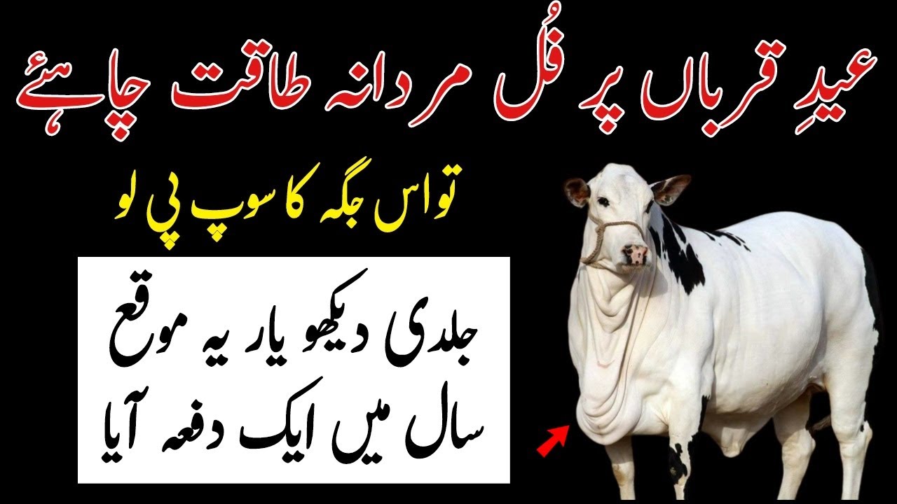 11 Best Benefits Of Qurbani Cow Meat for Weight, Skin & Hair