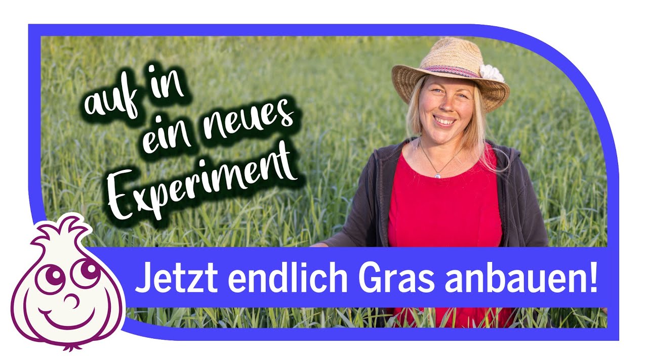 Aussaaten im Mai | Ist das erlaubt? 700 m² mit Gras! Workshop 17
