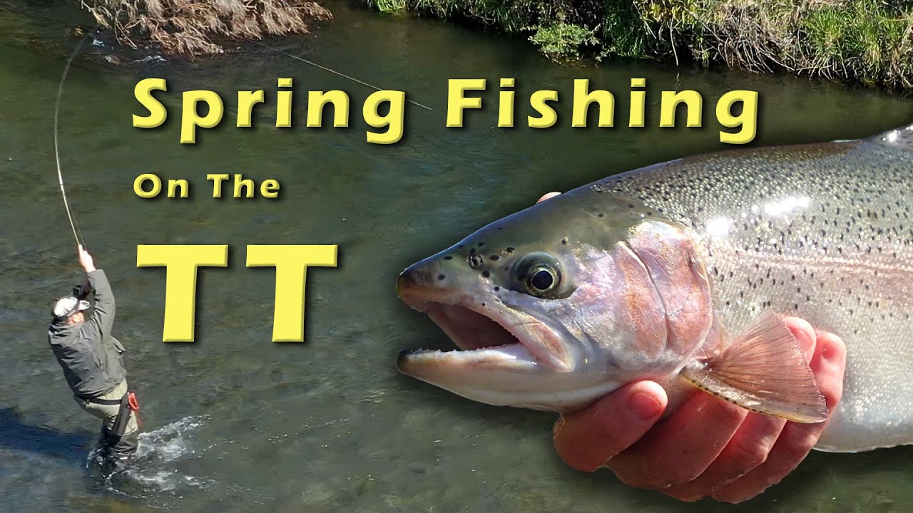 SPRING FISHING ON THE TAURANGA TAUPO RIVER
