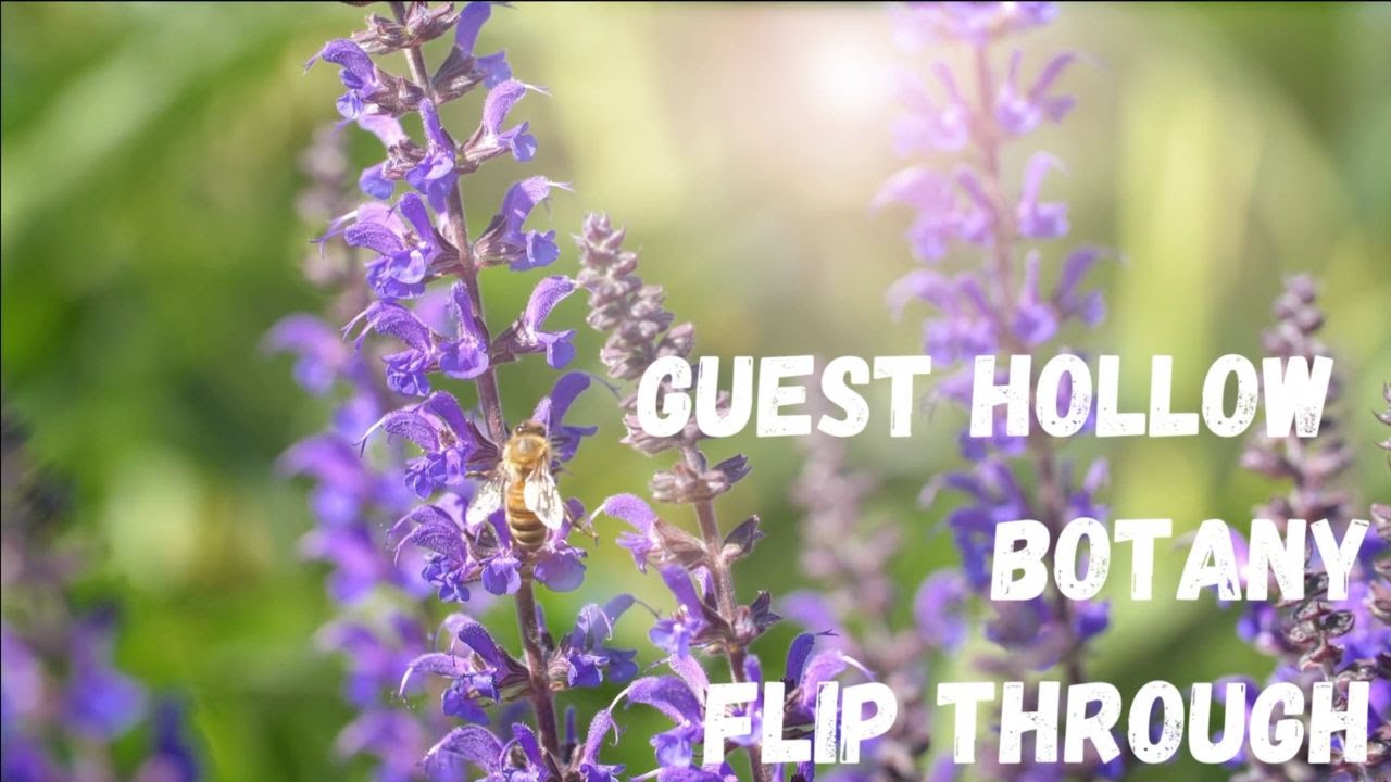 Discover Guest Hollow's Botany for Middle and High School | Homeschool Curriculum Flip Through