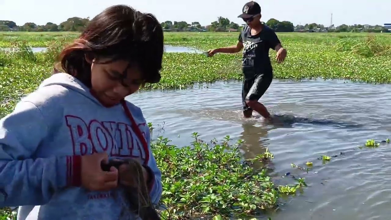 Part, 8 ng pamamate naka jockpot Ng dalawang mamaw na tilapia 🐟