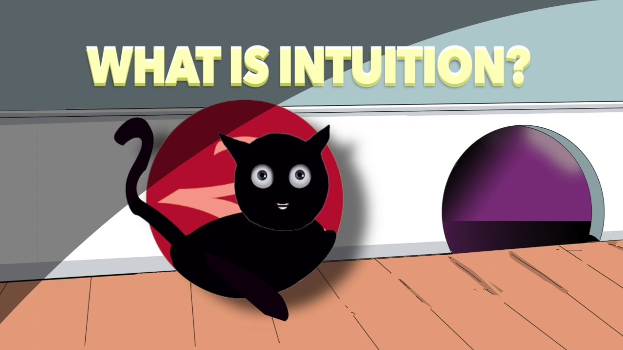 CAT INTUITION TITLE