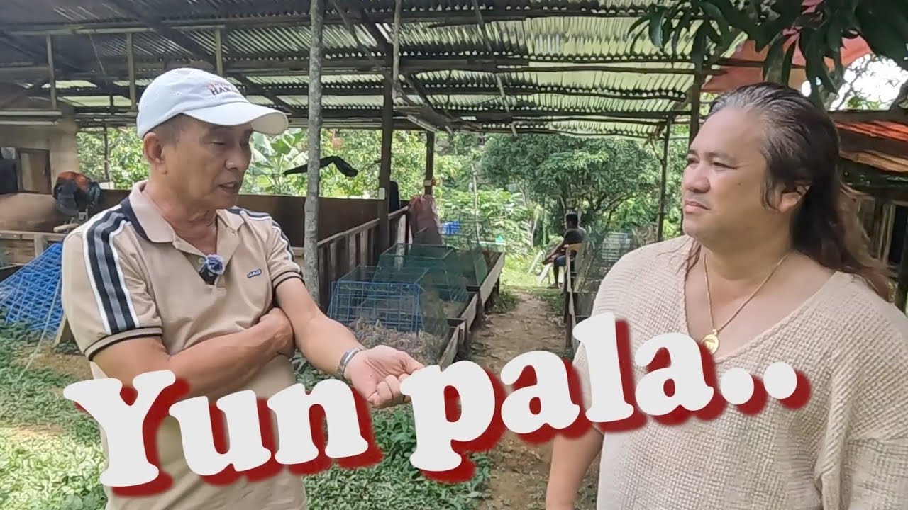 EP664: Bakit kaya nag climatized o nagbabago ang katawan ng ating mga alaga?