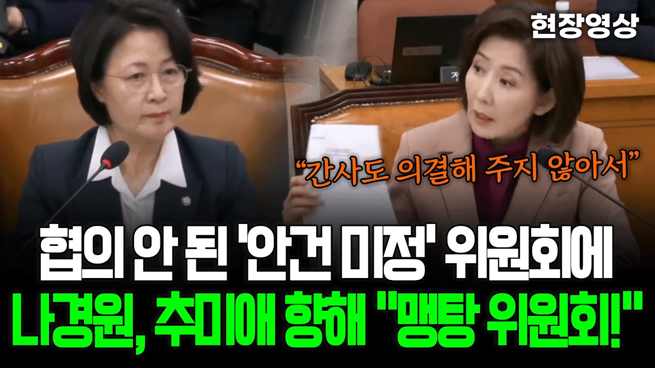 [현장영상] 협의 안 된 '안건 미정'으로 열린 위원회에 나경원, 추미애 향해 