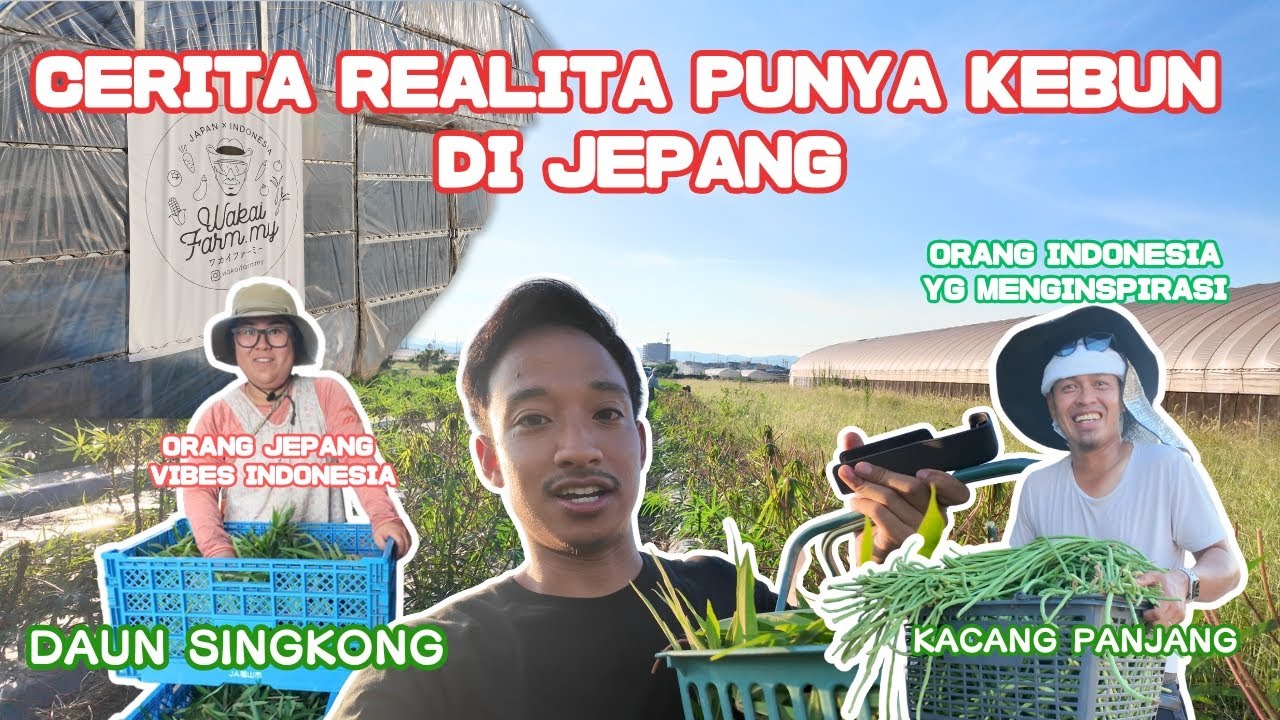 【PART 10】ORANG INDONESIA PUNYA KEBUN SAYURAN INDONESIA DI JEPANG! TERNYATA TIDAK SEINDAH ITU