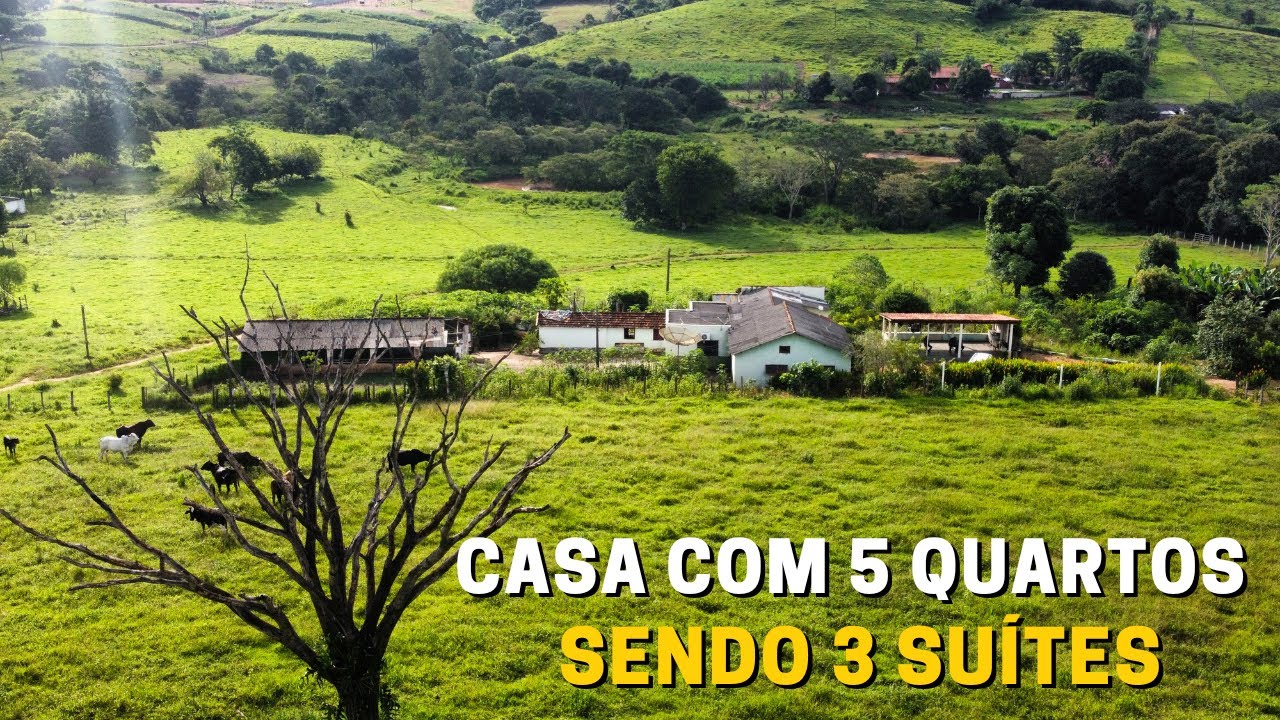 EXCELENTE SÍTIO À VENDA COM RIO NA PROPRIEDADE - PRATÁPOLIS - MG R$ 1.300.000,00