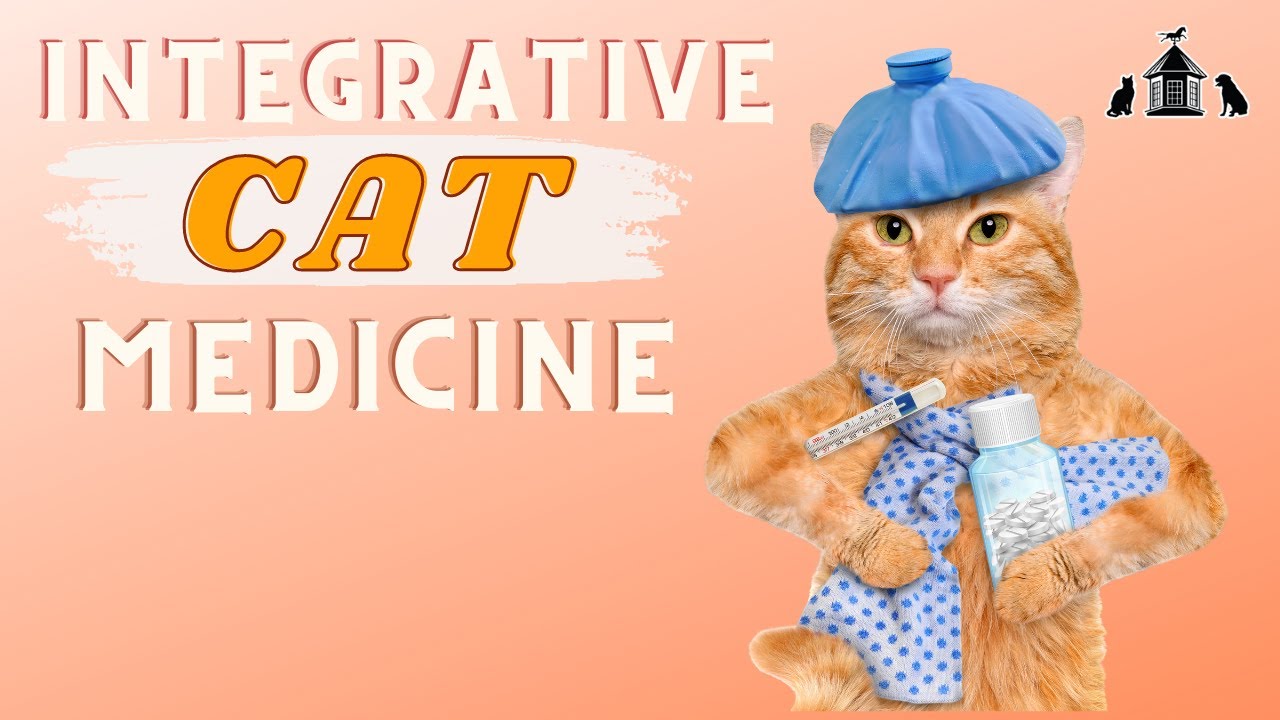 Integrative Cat Medicine Benefits