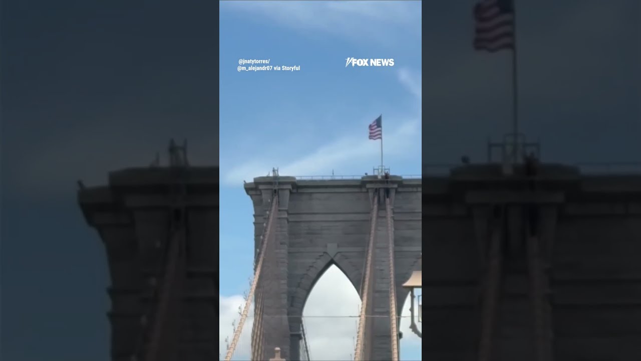 Naked man SURVIVES after jumping off Brooklyn Bridge #shorts #us #news #foxnews #viral