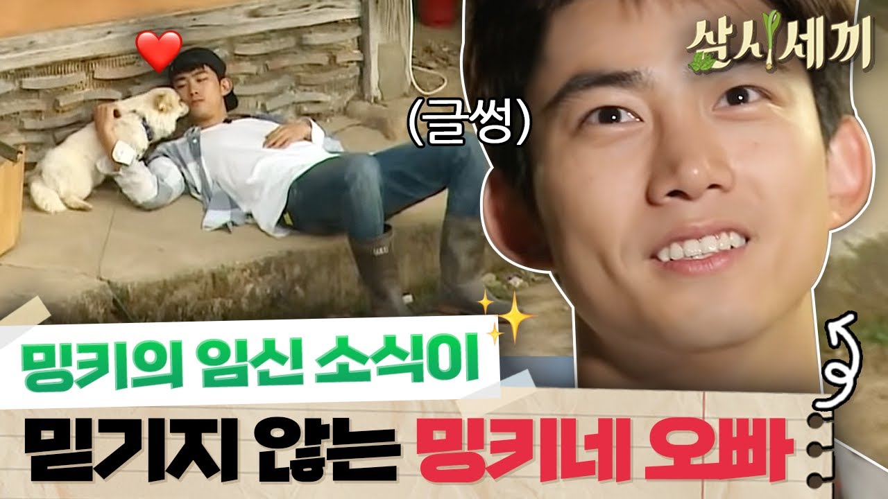 [#삼시세끼정선편] 밍키와 함께 동물병원에 간 옥택연, 밍키의 임신 소식에 만감이 교차하는 친한 오빠 옥택연( ･ᴗ･̥̥̥ )
