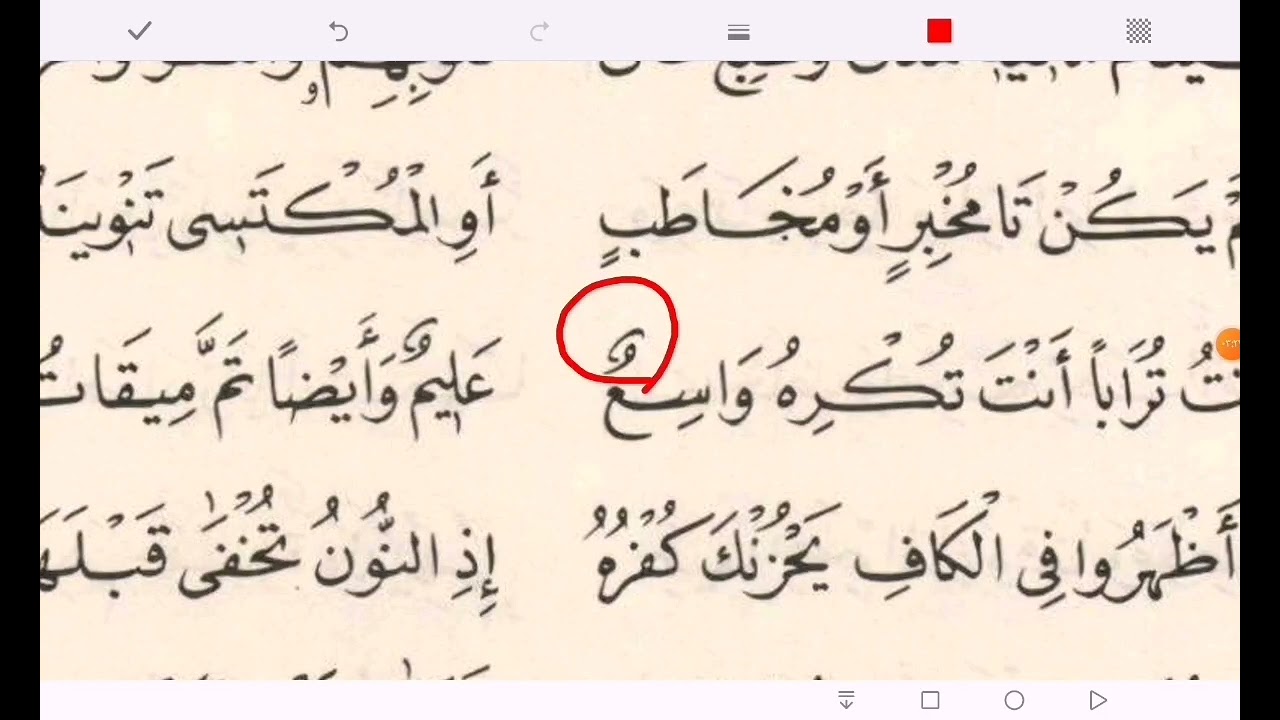 08 باب الإدغام الكبير - شرح الشاطبية في القراءات السبع مصطفى دنقش